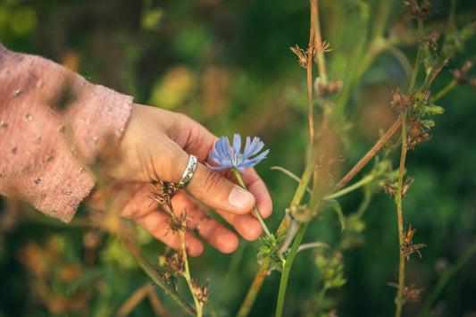 Conectando con la Naturaleza: La Importancia de la Herbolaria y la Cosmética Natural para el Cuerpo y el Medio Ambiente