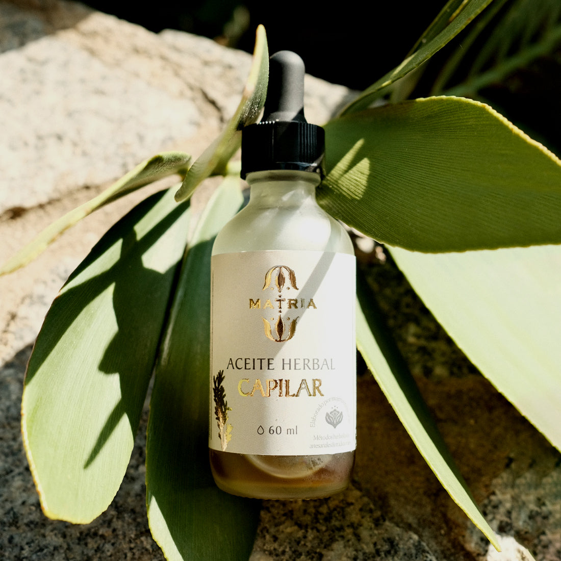 Herbal Hair Oil