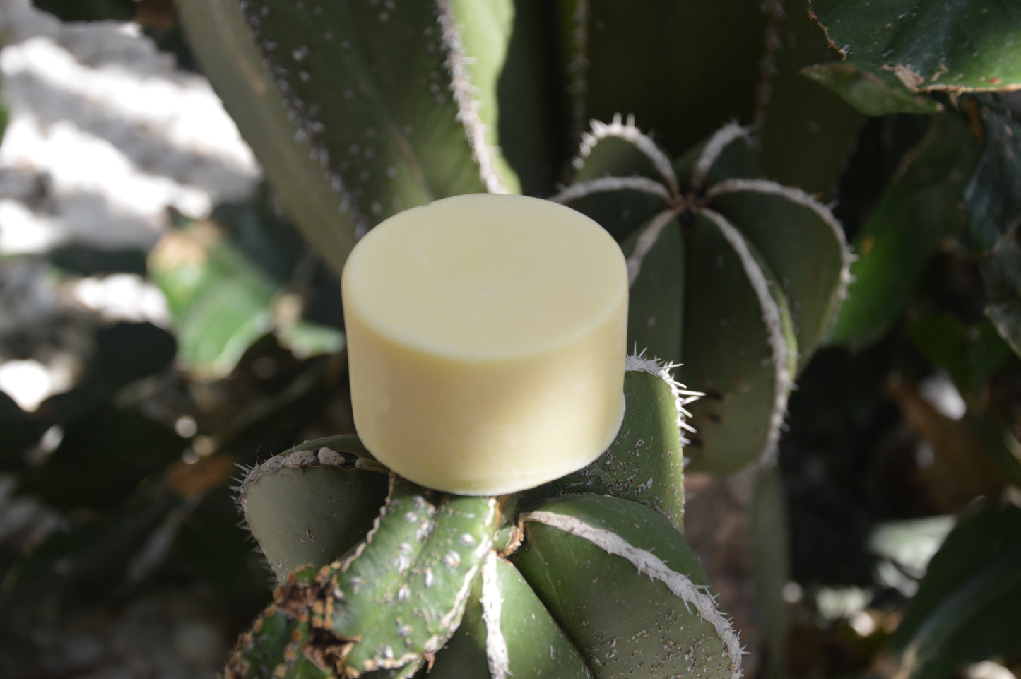 Sandalwood Deodorant