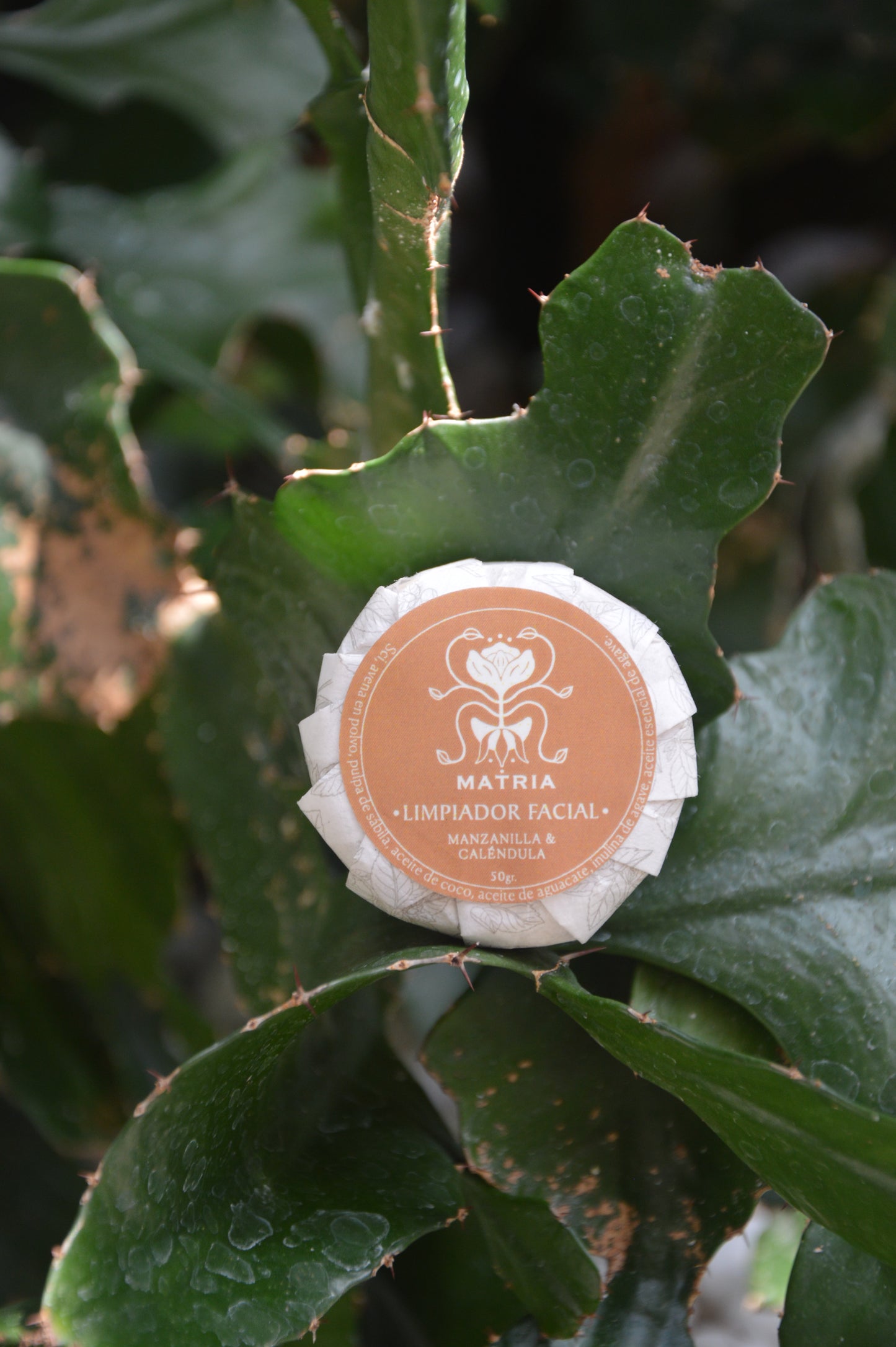 Floral facial cleanser