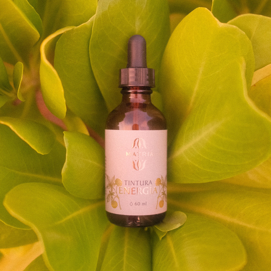 Energy Tincture