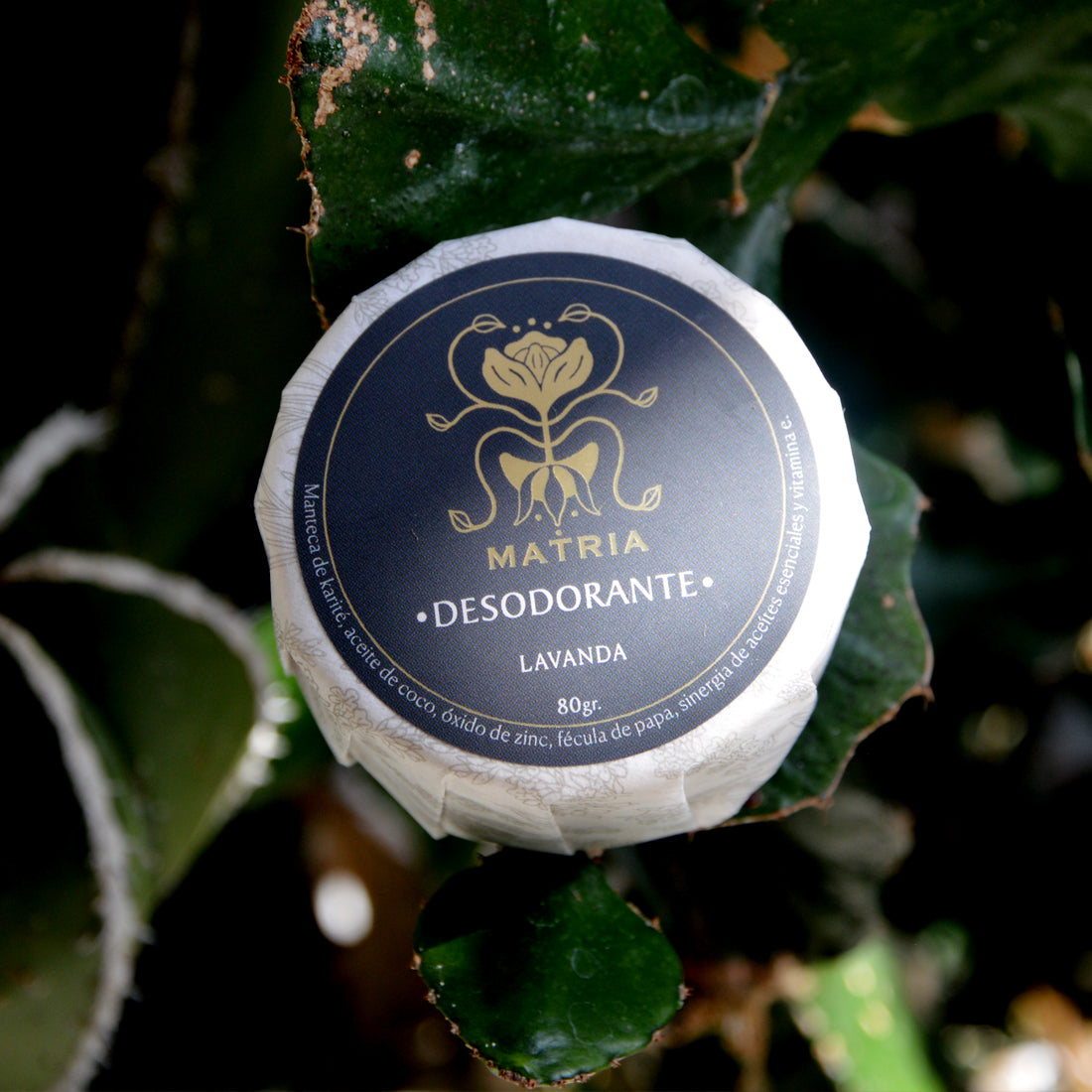 Lavender Deodorant