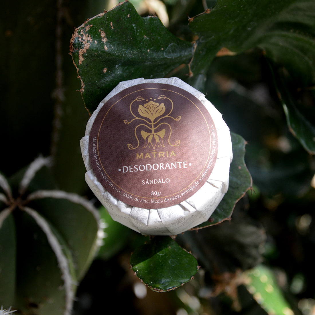 Sandalwood Deodorant