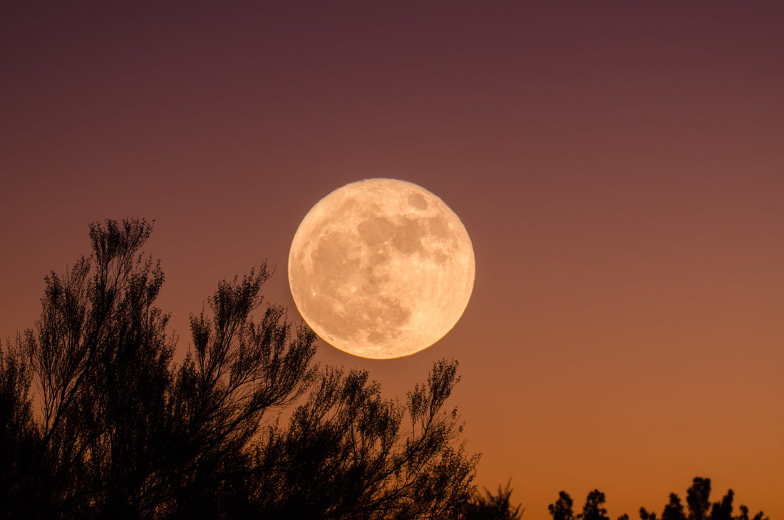 Luna llena en Capricornio