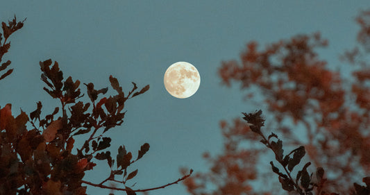 Luna llena en Acuario