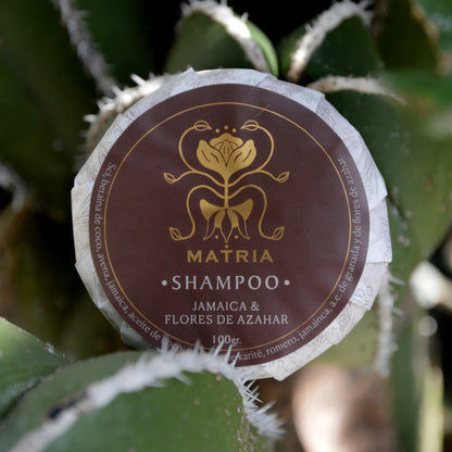 Shampoo en barra jamaica y flor de azhar